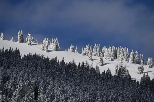Những khung cảnh mùa đông tuyết phủ trắng xóa đẹp như cổ tích - Ảnh 12.