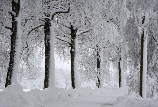 Những khung cảnh mùa đông tuyết phủ trắng xóa đẹp như cổ tích - Ảnh 17.