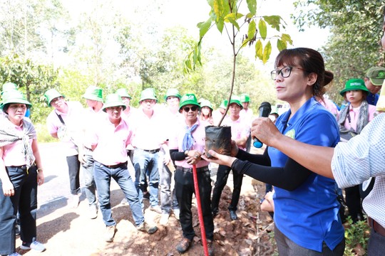 C.P Việt Nam chung tay trồng rừng bảo vệ môi trường xanh - Ảnh 2.