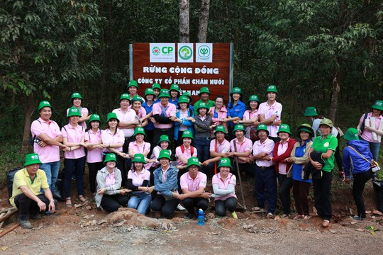 C.P Việt Nam chung tay trồng rừng bảo vệ môi trường xanh - Ảnh 3.