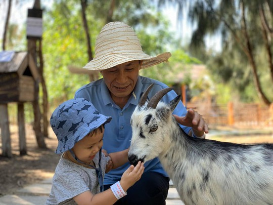 Khám phá FLC Zoo Safari Park – vườn thú độc đáo tại Quy Nhơn - Ảnh 2.