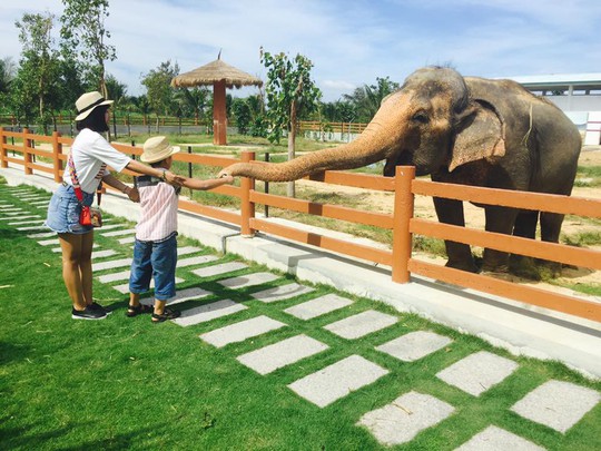 Khám phá FLC Zoo Safari Park – vườn thú độc đáo tại Quy Nhơn - Ảnh 4.