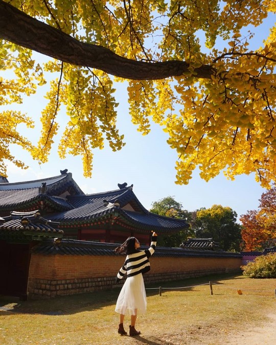 6 lý do để ít nhất một lần đón mùa thu ở Hàn Quốc - Ảnh 6.