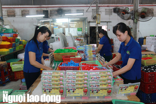 Tăng tuổi nghỉ hưu: Hãy dành chỗ cho lớp trẻ - Ảnh 2.