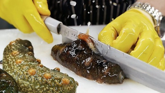 Cách ăn sống đỉa biển trứ danh của người Hàn Quốc - Ảnh 6.
