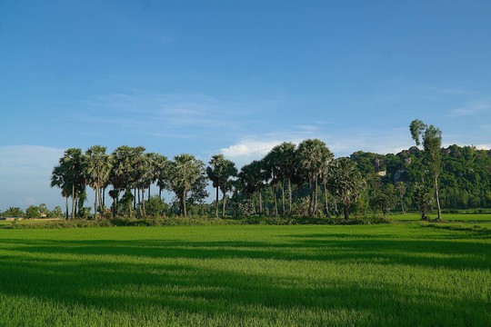 Cuối tuần check-in chợ nổi, hàng thốt nốt - Ảnh 2.