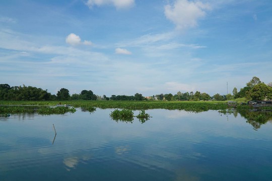 Cuối tuần check-in chợ nổi, hàng thốt nốt - Ảnh 5.