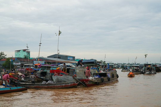 Cuối tuần check-in chợ nổi, hàng thốt nốt - Ảnh 7.