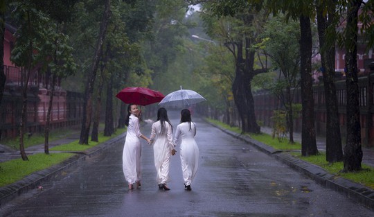 Khoảnh khắc mưa lãng mạn ở Huế  - Ảnh 1.