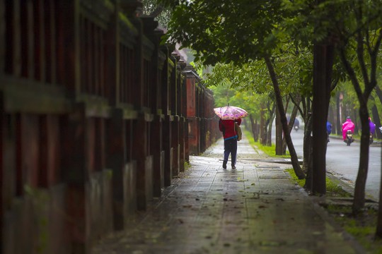 Khoảnh khắc mưa lãng mạn ở Huế  - Ảnh 9.