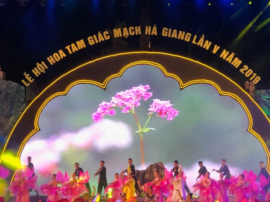 Bắt đầu lễ hội hoa tam giác mạch Sắc hồng cao nguyên đá Đồng Văn - Ảnh 1.