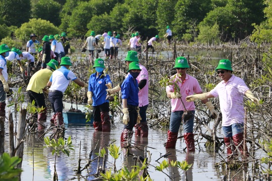 C.P. Việt Nam - chi nhánh Bạc Liêu chung tay trồng rừng vì môi trường xanh - Ảnh 2.