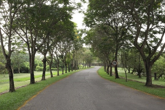 Vedan Việt Nam - Mái nhà gắn kết người lao động - Ảnh 4.