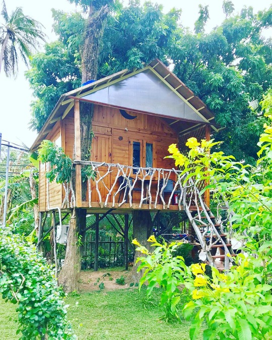 5 homestay Phú Quốc giá dưới 1 triệu đồng - Ảnh 26.