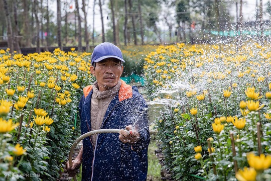 Khung cảnh rực rỡ ở làng hoa chong đèn chuẩn bị vụ hoa Tết - Ảnh 11.