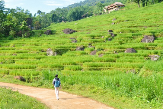 Pù Luông - thiên đường của vùng đất Thanh Hóa - Ảnh 3.