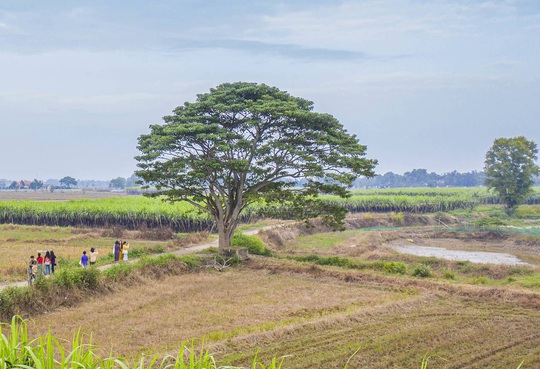 Khám phá những nơi lên phim Mắt biếc - Ảnh 1.