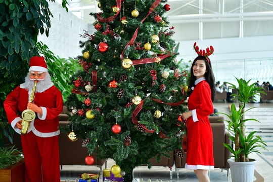 Bất ngờ với Ông già Noel, Công chúa Tuyết ở sân bay - Ảnh 14.
