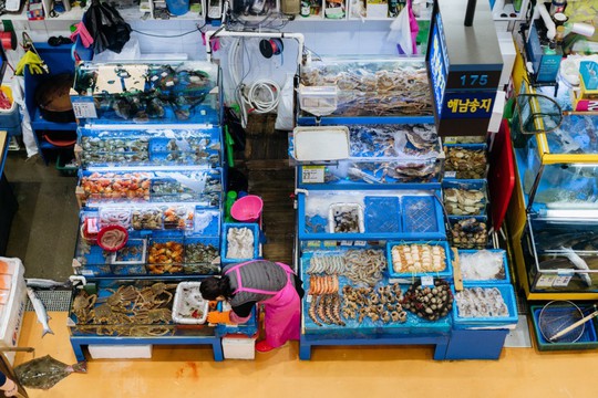Khám phá khu chợ hải sản lớn nhất Seoul - Ảnh 1.