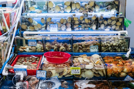 Khám phá khu chợ hải sản lớn nhất Seoul - Ảnh 3.