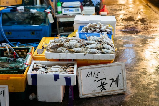 Khám phá khu chợ hải sản lớn nhất Seoul - Ảnh 5.