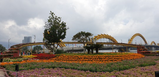 Cầu Vàng rực rỡ tại đường hoa Đà Nẵng - Ảnh 7.