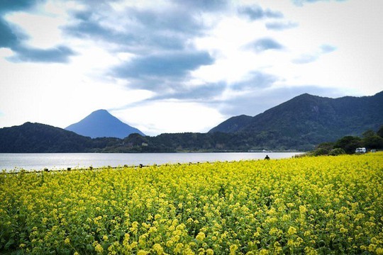 Kagoshima, vùng đất kỳ lạ với núi lửa nghìn năm - Ảnh 6.