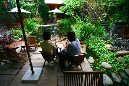 Quán cà phê hút khách với cây xanh và hồ cá - Ảnh 1.