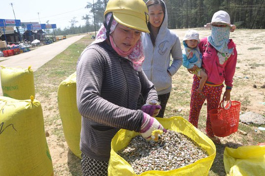 Quảng Ngãi: Ốc bé tẹo nhưng mang tiền triệu cho ngư dân - Ảnh 11.