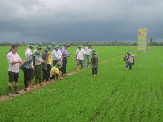 Bình Điền đưa nông dân tham dự khóa tập huấn tại Thái Lan - Ảnh 3.