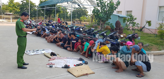 Triệt xóa trường gà có cả bóng hồng tham gia - Ảnh 1.