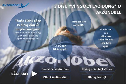 Động lực phát triển của AkzoNobel: không phải câu chuyện doanh số - Ảnh 1.