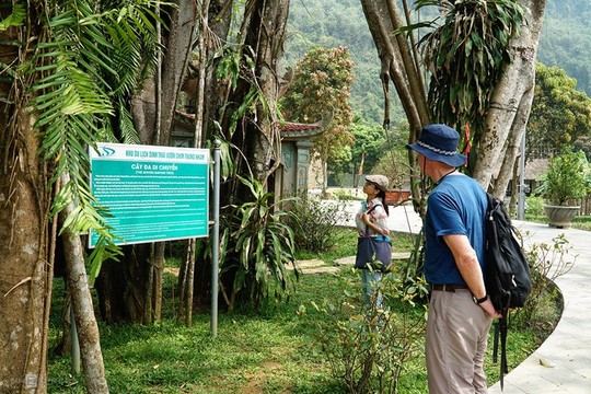 Cây đa ngàn năm biết đi quanh đền cổ ở Ninh Bình - Ảnh 10.