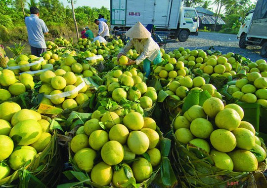 Những đặc sản đậm chất dân dã của Vĩnh Long ăn rồi lại thèm - Ảnh 8.