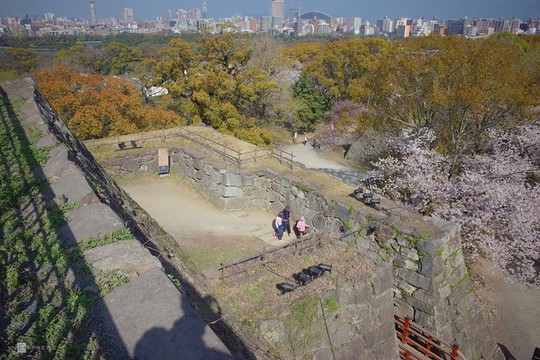 Thành cổ hơn 400 năm ở Nhật ngập trong sắc hoa anh đào - Ảnh 1.