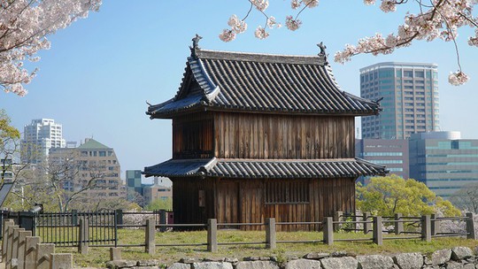 Thành cổ hơn 400 năm ở Nhật ngập trong sắc hoa anh đào - Ảnh 4.