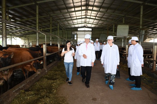 Thứ trưởng Hà Lan thăm dự án phát triển vùng chăn nuôi bò sữa tại Hà Nam - Ảnh 1.