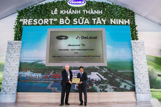 “Resort” bò sữa - ngôi nhà lý tưởng của những cô bò hạnh phúc - Ảnh 3.