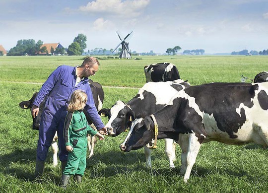 Chất lượng chuẩn Hà Lan trong từng hộp sữa - Ảnh 1.