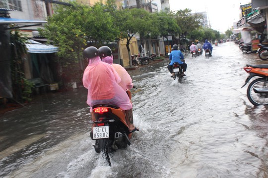 Sau cơn mưa trắng trời, CSGT Bạc Liêu giúp dân di chuyển trong biển nước  - Ảnh 1.