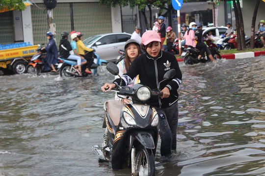 Sau cơn mưa trắng trời, CSGT Bạc Liêu giúp dân di chuyển trong biển nước  - Ảnh 7.