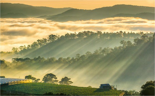 Những điểm ngắm sương vờn mây lúc bình minh ở Đà Lạt - Ảnh 3.