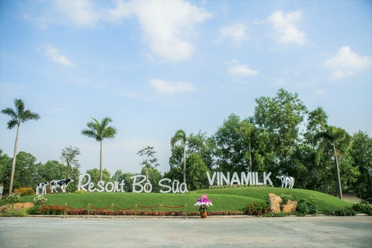 Check-in tại “resort” bò sữa siêu đẹp của Vinamilk Tây Ninh - Ảnh 1.