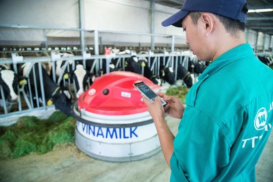 Check-in tại “resort” bò sữa siêu đẹp của Vinamilk Tây Ninh - Ảnh 8.