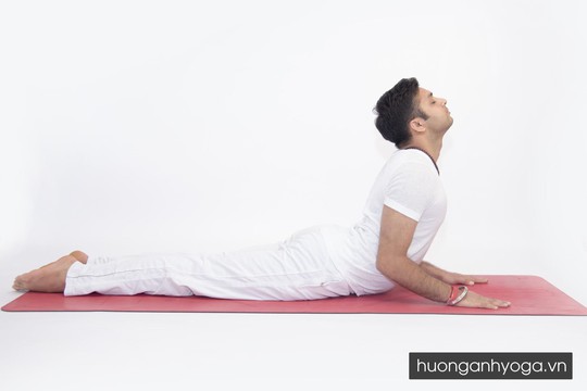 Những bài tập Yoga giúp cải thiện chuyện chăn gối - Ảnh 3.