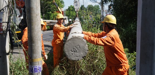 Điện lực miền Nam diễn tập ứng phó sự cố lưới điện do mưa bão - Ảnh 1.