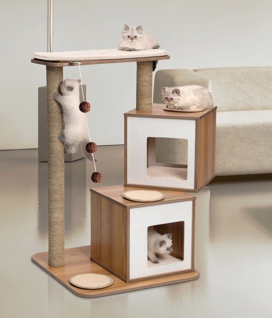Ngôi nhà sành điệu dành cho những chú mèo - Ảnh 3.