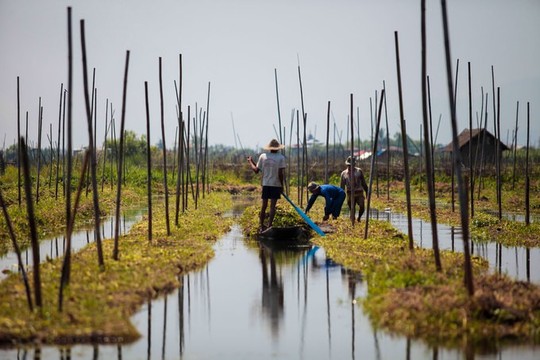 Những ngôi làng nổi trên mặt nước ở Myanmar - Ảnh 10.