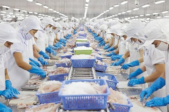 Tăng tuổi nghỉ hưu - ai được lợi? - Ảnh 1.