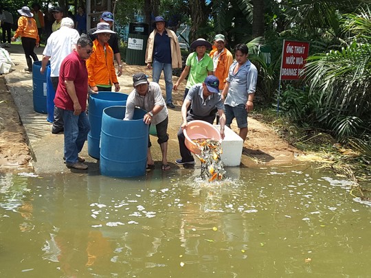 VWS tái sinh nguồn thủy sản cho Rạch Chiếu - Ảnh 3.